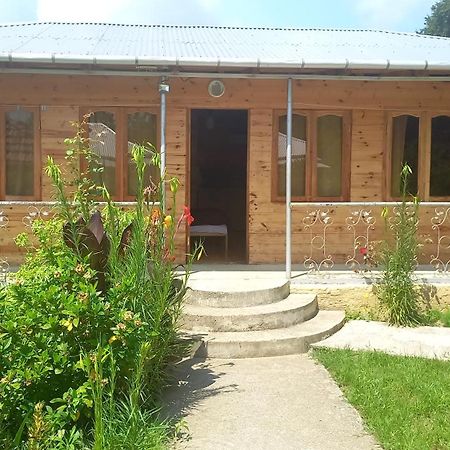 Green Villa Tskaltubo Εξωτερικό φωτογραφία